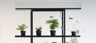 Illustration for article titled Shelving That Automatically Waters Your Plants, Even When You Forget